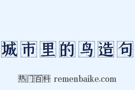 城市里的鸟造句是什么意思的图片